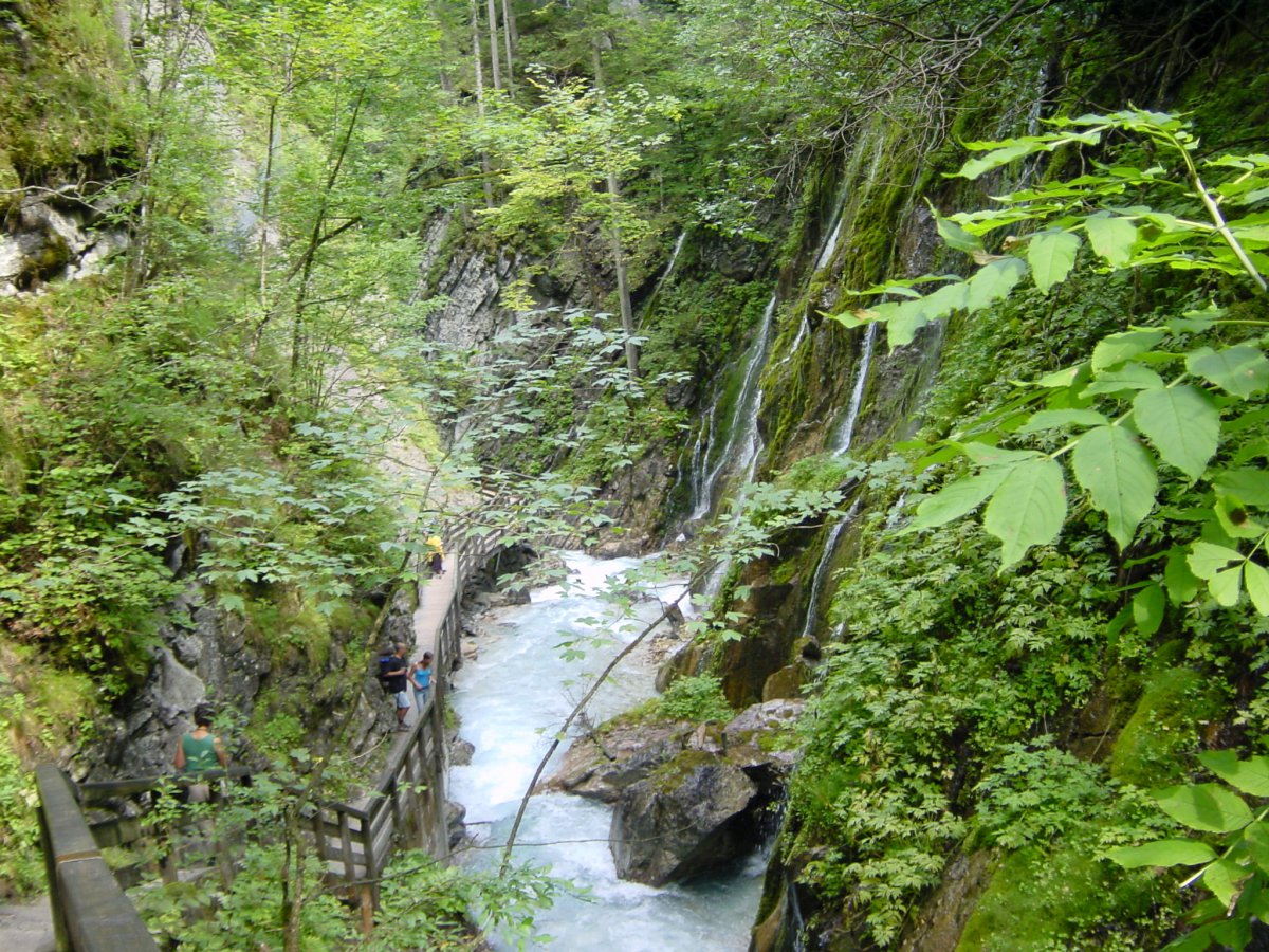 dsc03837