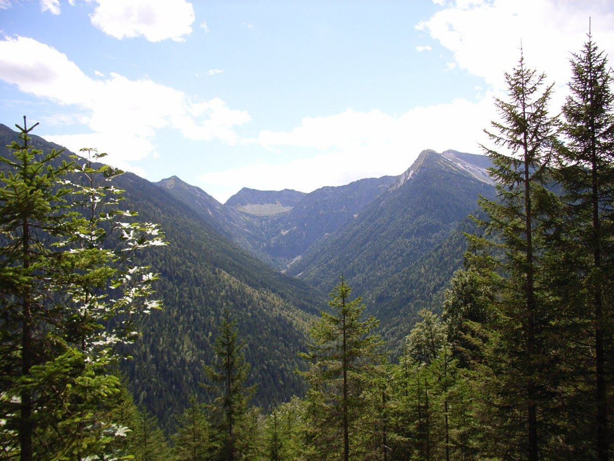 2006-08-19-13-25-18-r0010933